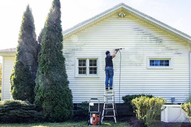 Best Driveway Pressure Washing  in Fayetteville, NY